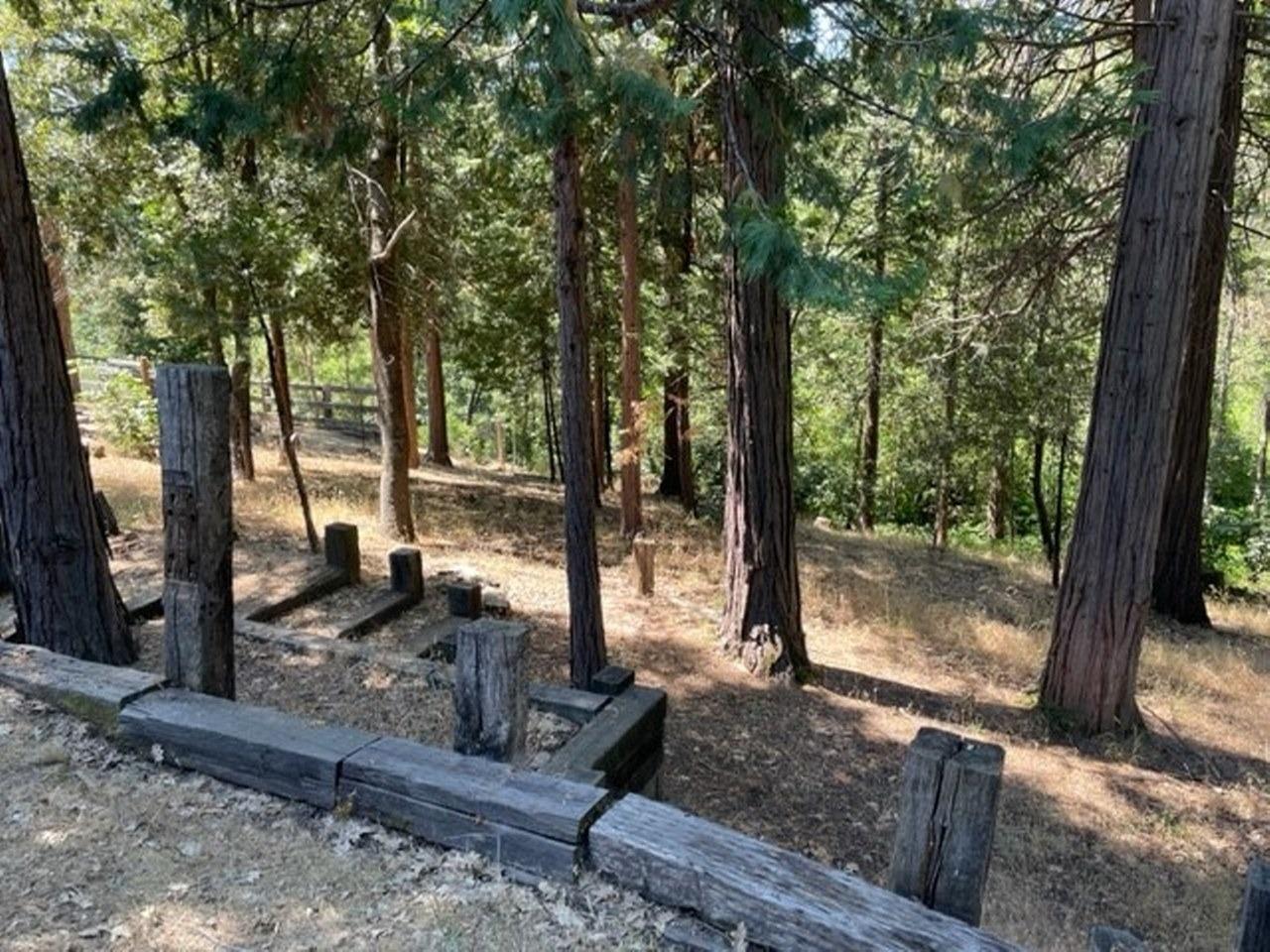 59634 Cascadel Drive North Fork, CA 93643 - Photo 31 of 52 a view of a park with large trees