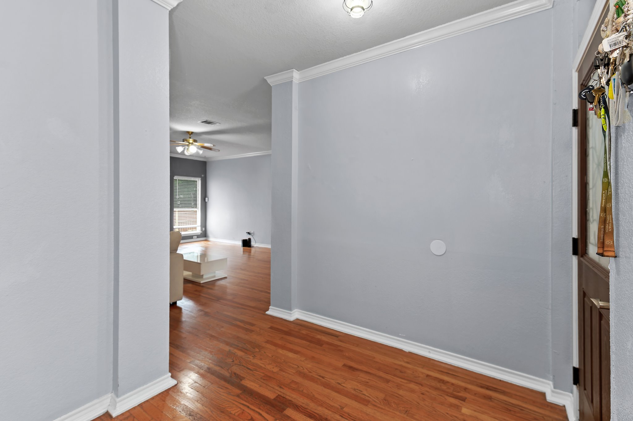 11737 Rydalwater Lane Austin, TX 78754 - Photo 5 of 40 Entryway featuring hardwood flooring, light gray walls, white crown molding, and a paneled entry door