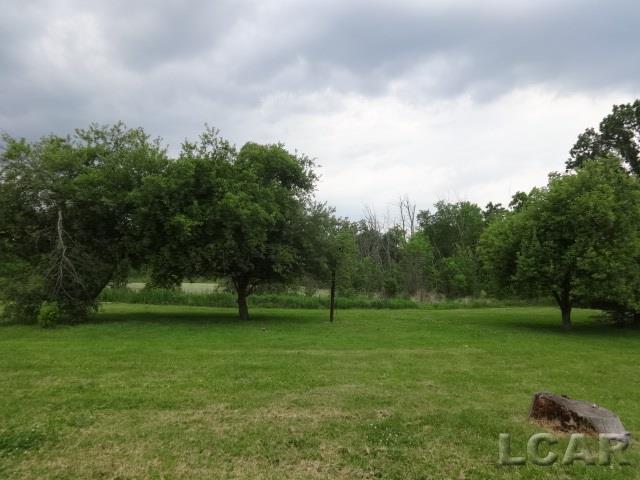 13180 Neblo Road Clinton, MI 49236 - Photo 30 of 31