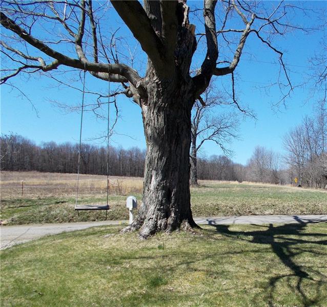 2386 Millbrook Road Polk, PA 16342 - Photo 22 of 25