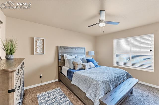 2015 Reed Grass Way Colorado Springs, CO 80915 - Photo 16 of 16