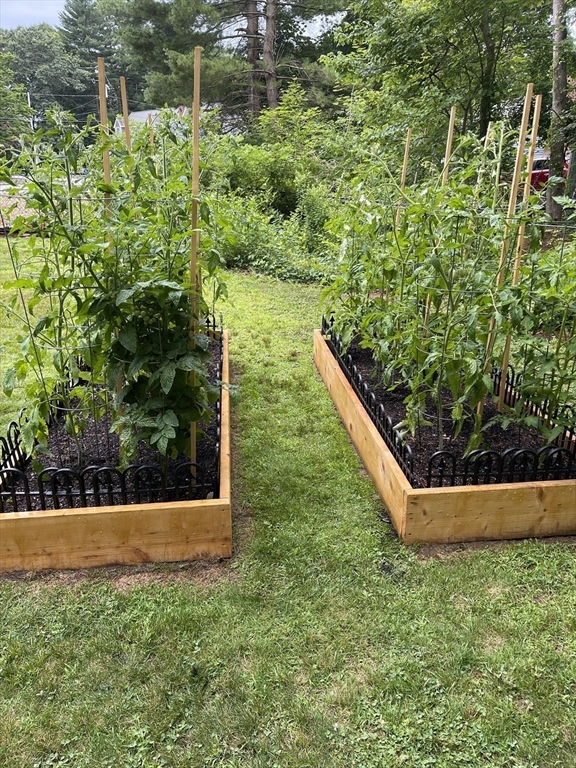 50 Harlow Road Rockland, MA 02370 - Photo 30 of 38 a view of a garden