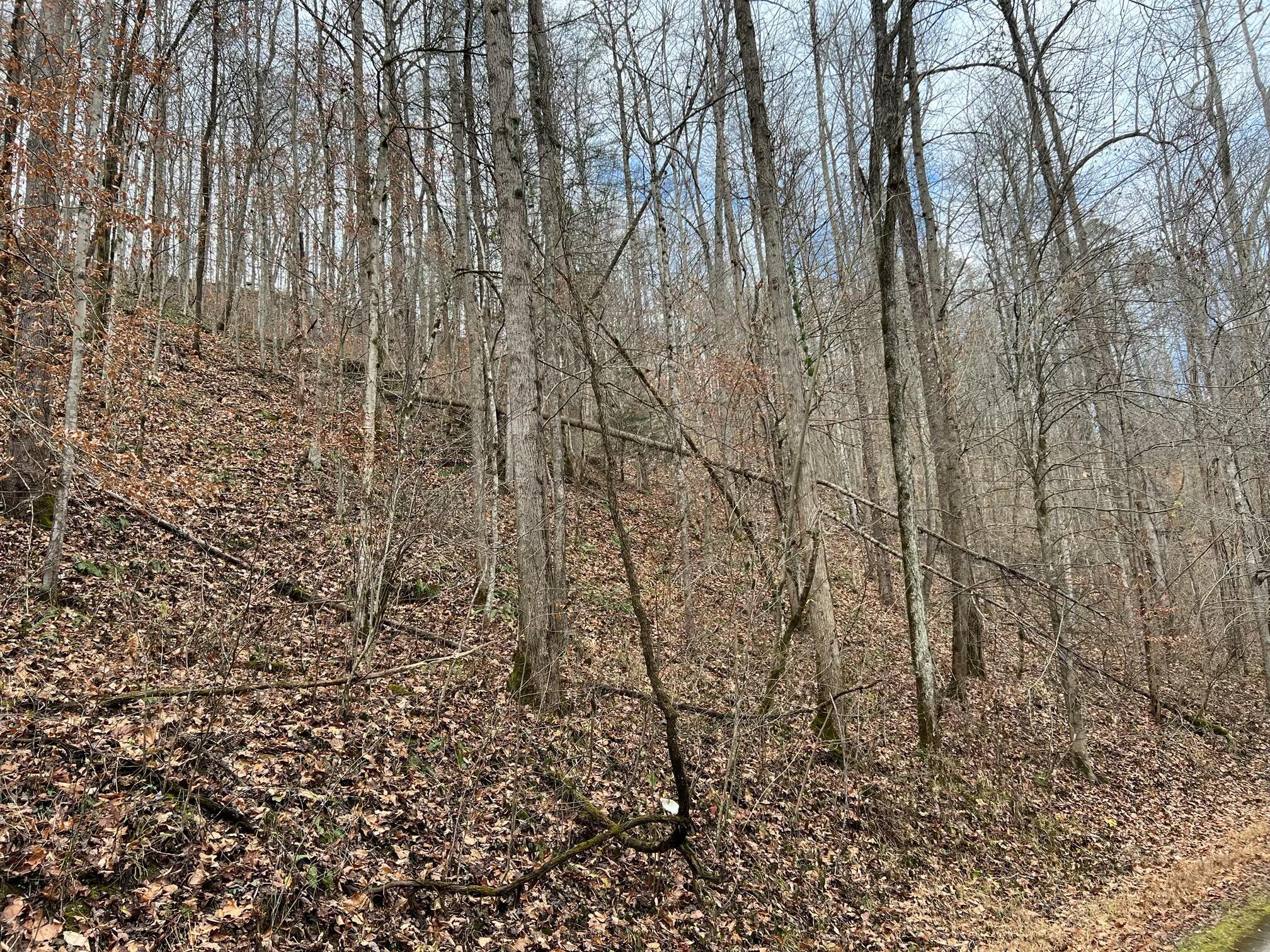 2774 Mosley Bend Road Hyden, KY 41749 - Photo 11 of 15 IMG_3733