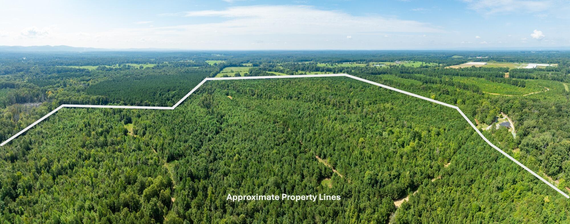 243-acres Wilson Road Chatsworth, GA 30705 - Photo 4 of 11 Land-250-Acres-Wilson-Rd-Chatsworth-GA-M