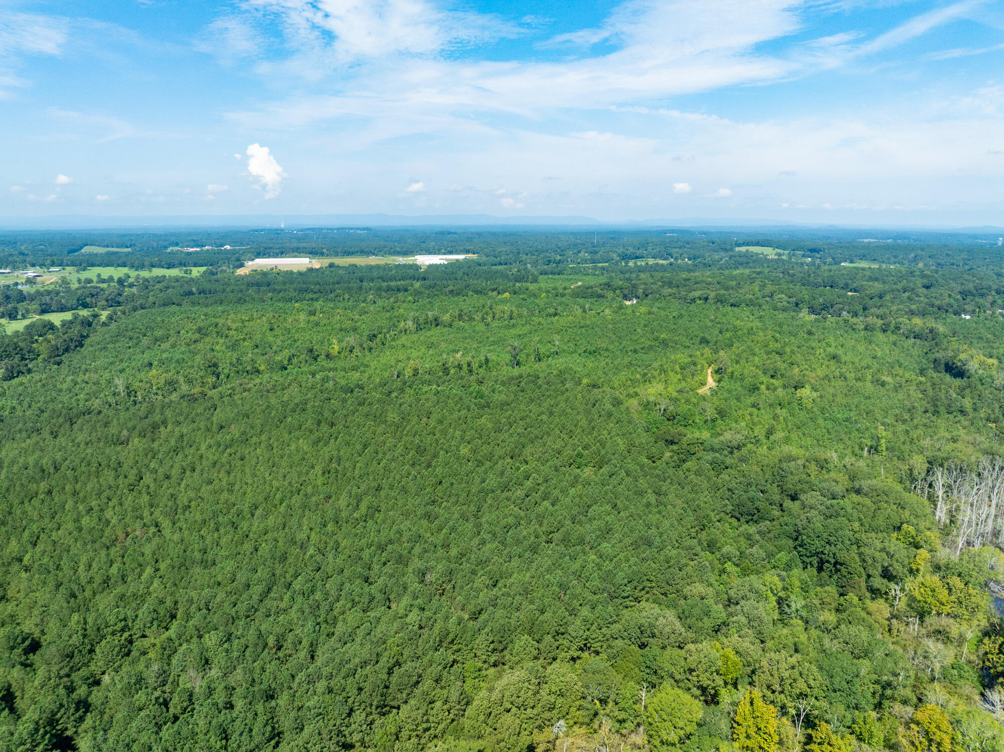 243-acres Wilson Road Chatsworth, GA 30705 - Photo 6 of 11 Land-250-Acres-Wilson-Rd-Chatsworth-GA-M
