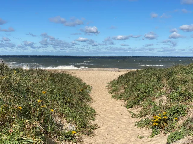 a view of a lake from a yard