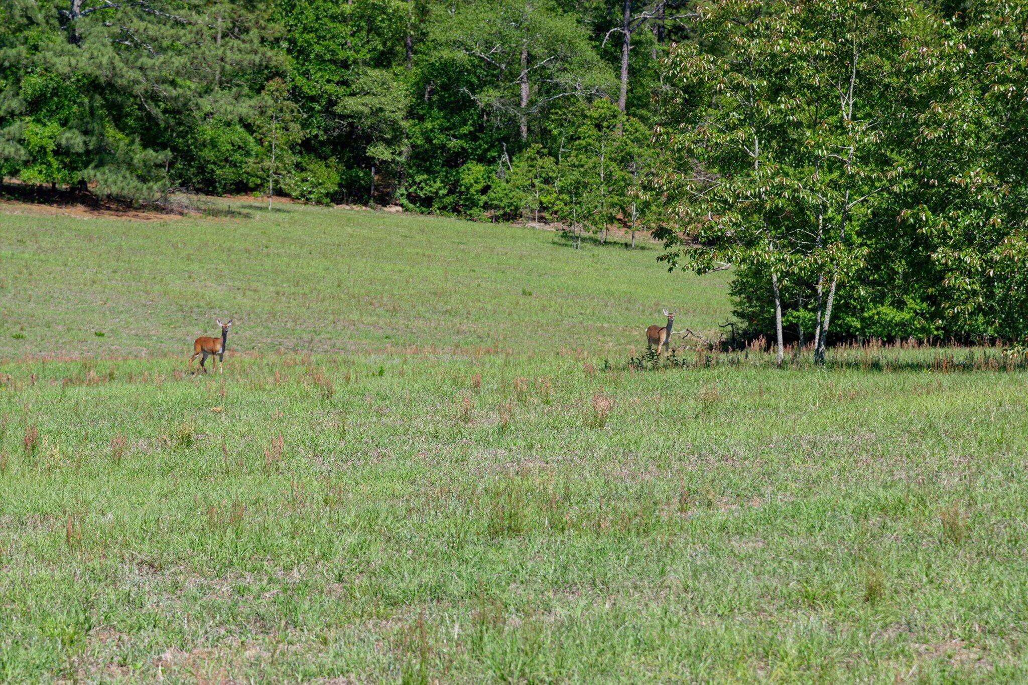 1700 Wire Road Aiken, SC 29805 - Photo 72 of 74