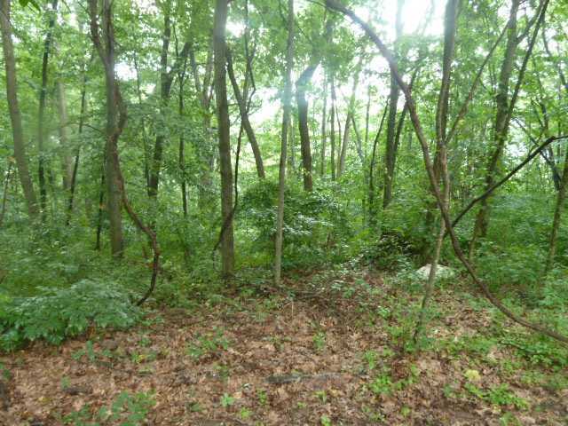 0 Pole Ridge Road Laurelville, OH 43135 - Photo 5 of 6 Gallery Image 5