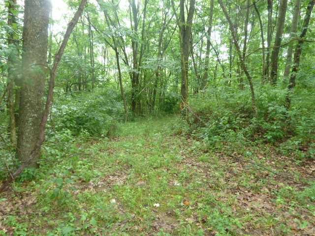 0 Pole Ridge Road Laurelville, OH 43135 - Photo 6 of 6 Gallery Image 6