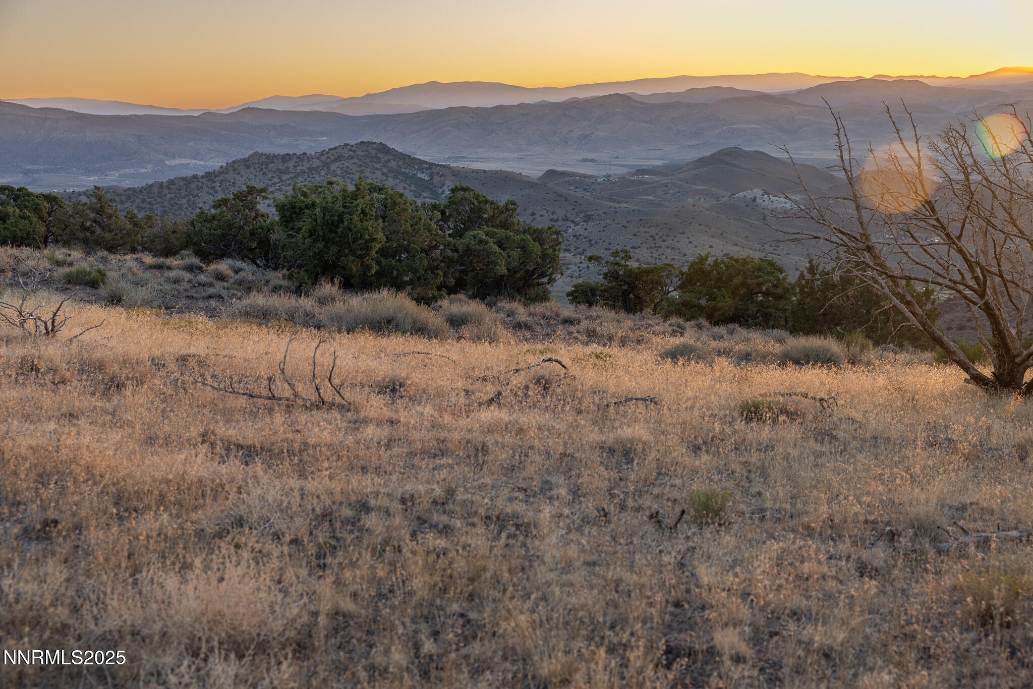 1955 Piute Creek Road, Unit 25 Reno, NV 89510 - Photo 6 of 14 a view of a dry in middle of forest