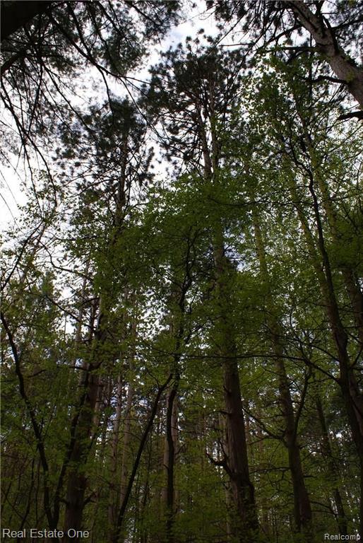 2 McKeen Lake Road Columbiaville, MI 48421 - Photo 20 of 51