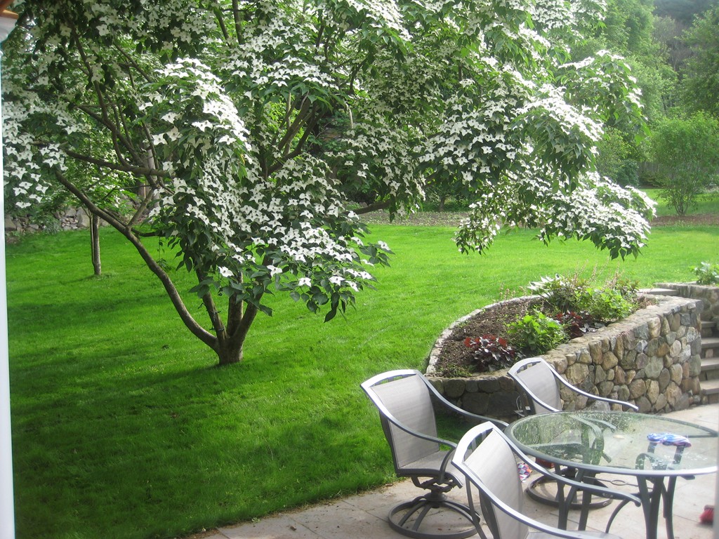 4 Worthen Road Winchester, MA 01890 - Photo 30 of 30