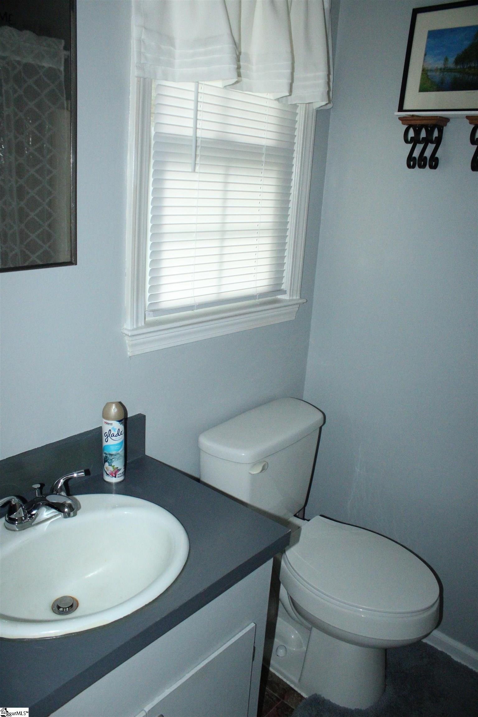 108 Spring Valley Road Pickens, SC 29671 - Photo 24 of 44