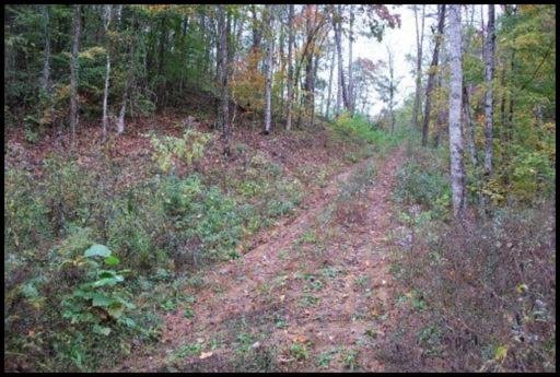 Bob Hollow Road Sevierville, TN 37876 - Photo 1 of 2 Primary Photo