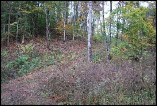 Bob Hollow Road Sevierville, TN 37876 - Photo 2 of 2 Additional Photo