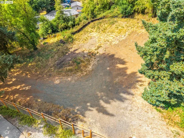 a view of a yard with flower plants