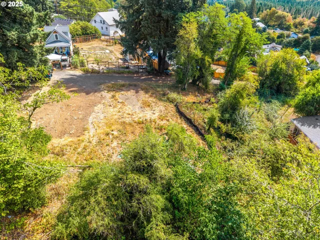 a view of yard with tree