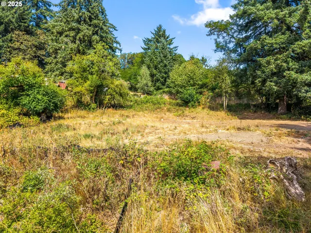 a view of a yard with large trees