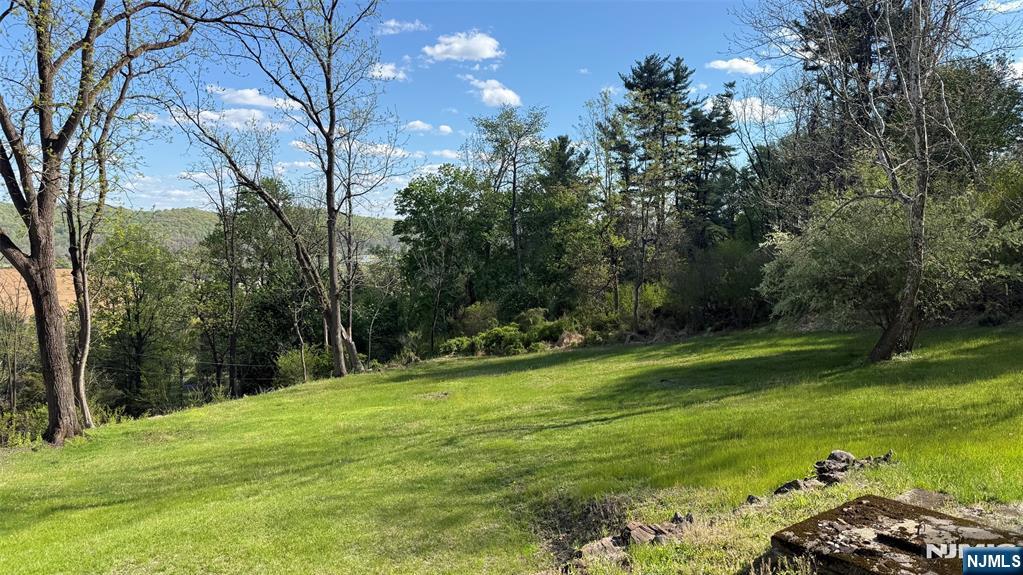25 Coleman Hill Road Washington, NJ 07882 - Photo 5 of 18 a view of a park