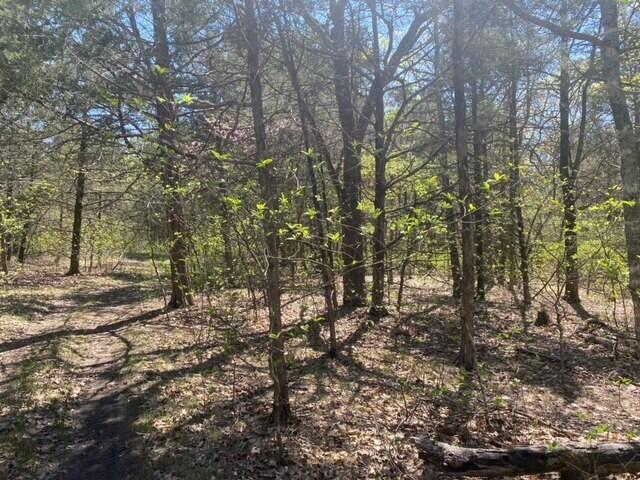 381 Painter Road Branson, MO 65616 - Photo 1 of 1 Wooded Acreage