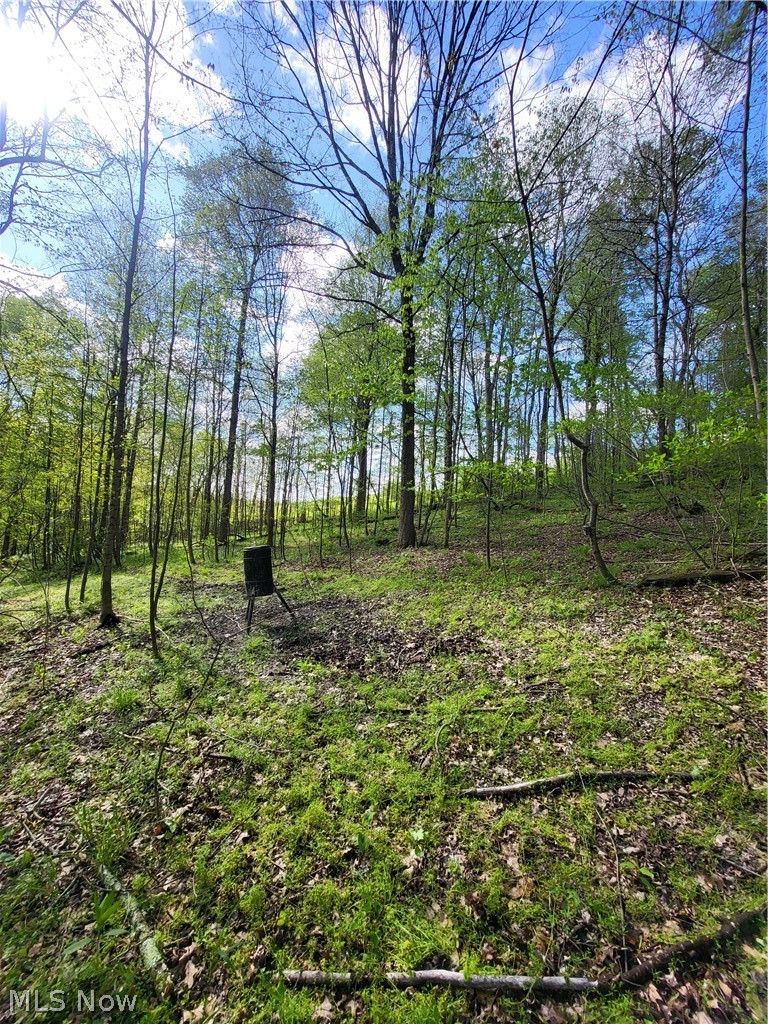 62 Township Road Dresden, OH 43821 - Photo 4 of 8