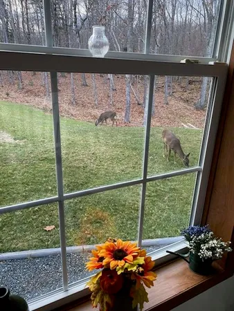 $260,000 | 269 East Side Drive, Verona Island, ME 04416