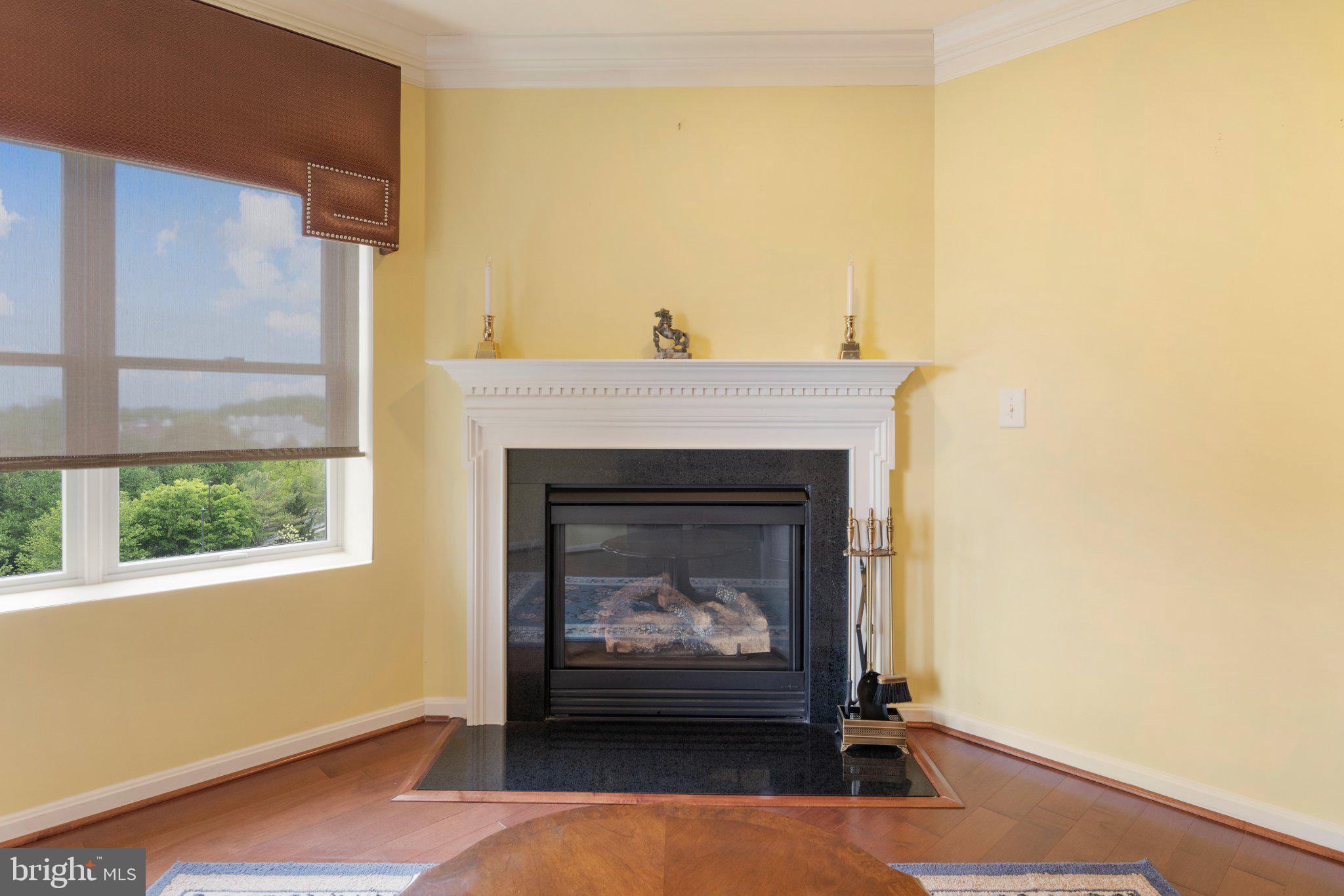12236 Roundwood Road, Unit 609 Lutherville-Timonium, MD 21093 - Photo 14 of 40 a living room with a fireplace