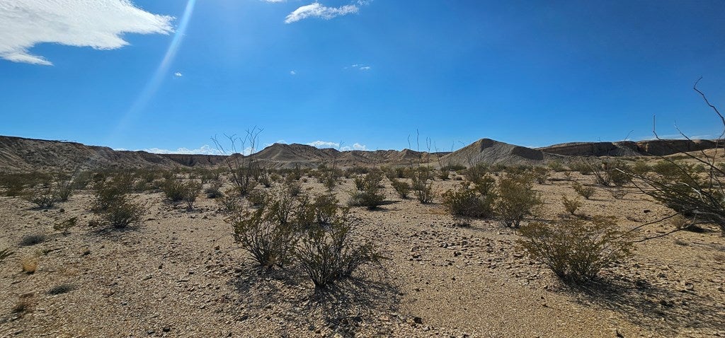 399 Grass Draw Road Terlingua, TX 79852 - Photo 10 of 18 Gallery Image 10