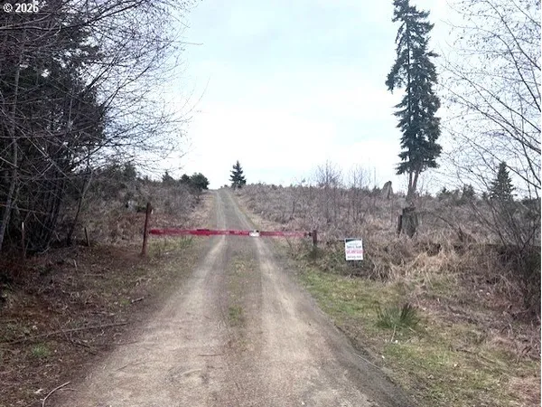 a view of a road with trees in the background