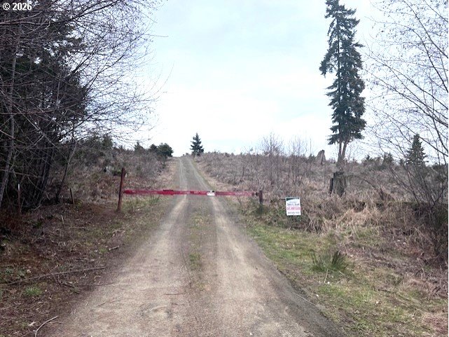 a view of a road with trees in the background