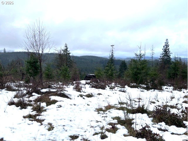 Timber Road Forest Grove, OR 97116 - Photo 11 of 13