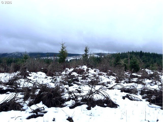 Timber Road Forest Grove, OR 97116 - Photo 12 of 13 a view of a city of water