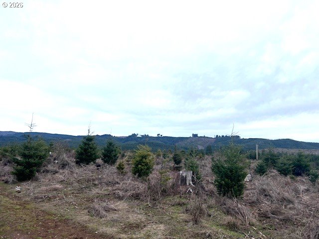 Timber Road Forest Grove, OR 97116 - Photo 13 of 13 a view of a valley