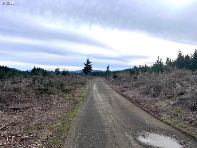 Timber Road Forest Grove, OR 97116 - Photo 2 of 13 a view of a dry yard with wooden fence