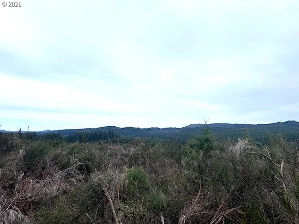a view of a road with mountain view