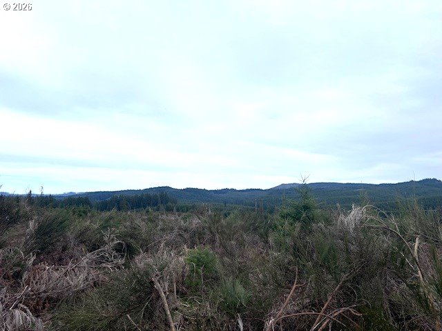 Timber Road Forest Grove, OR 97116 - Photo 4 of 13