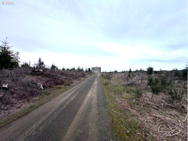 Timber Road Forest Grove, OR 97116 - Photo 5 of 13 a view of a road with mountain view