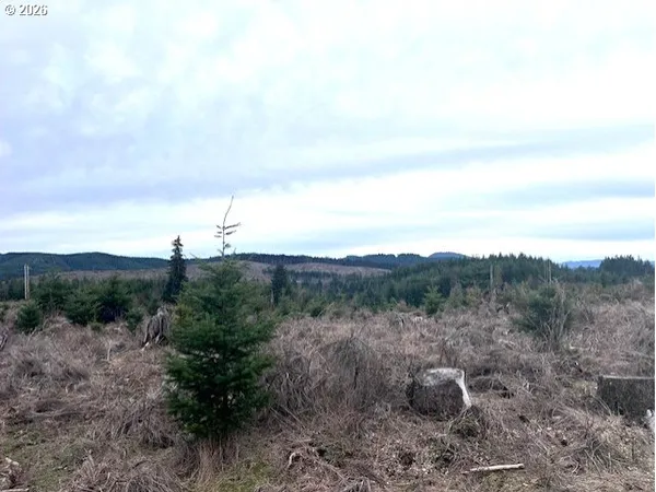 a view of a mountain in the distance in a field