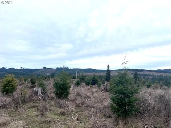 a view of mountain view with lots of trees