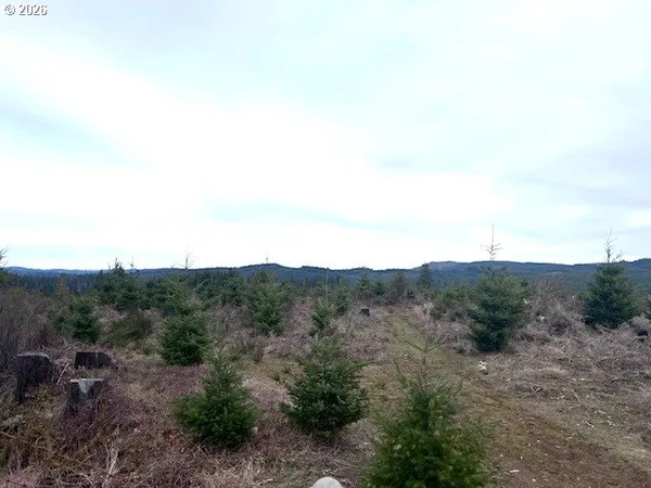 a view of a valley