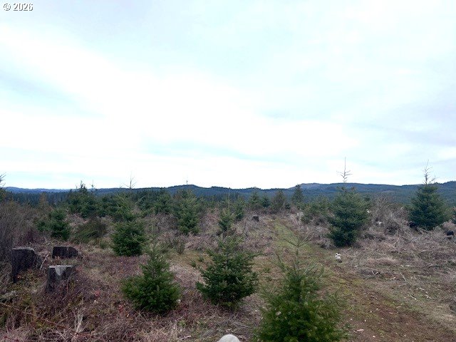Timber Road Forest Grove, OR 97116 - Photo 8 of 13 a view of mountain view with lots of trees
