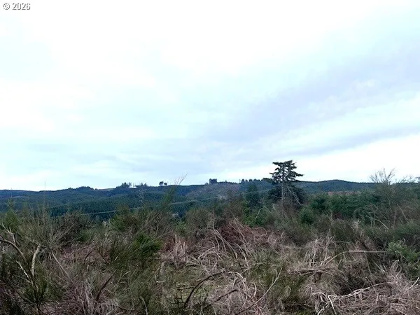 a view of a dry yard with green space