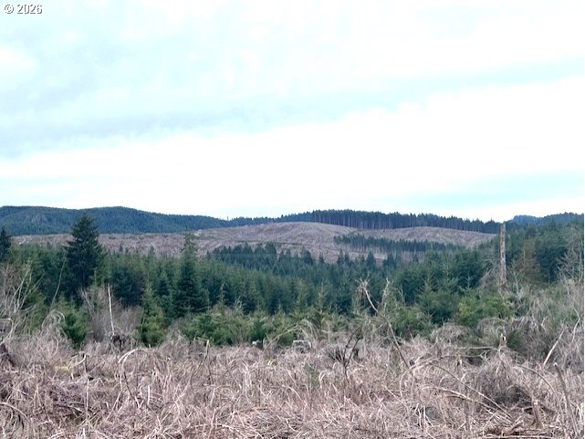 Timber Road Forest Grove, OR 97116 - Photo 10 of 13 a view of a dry yard with green space