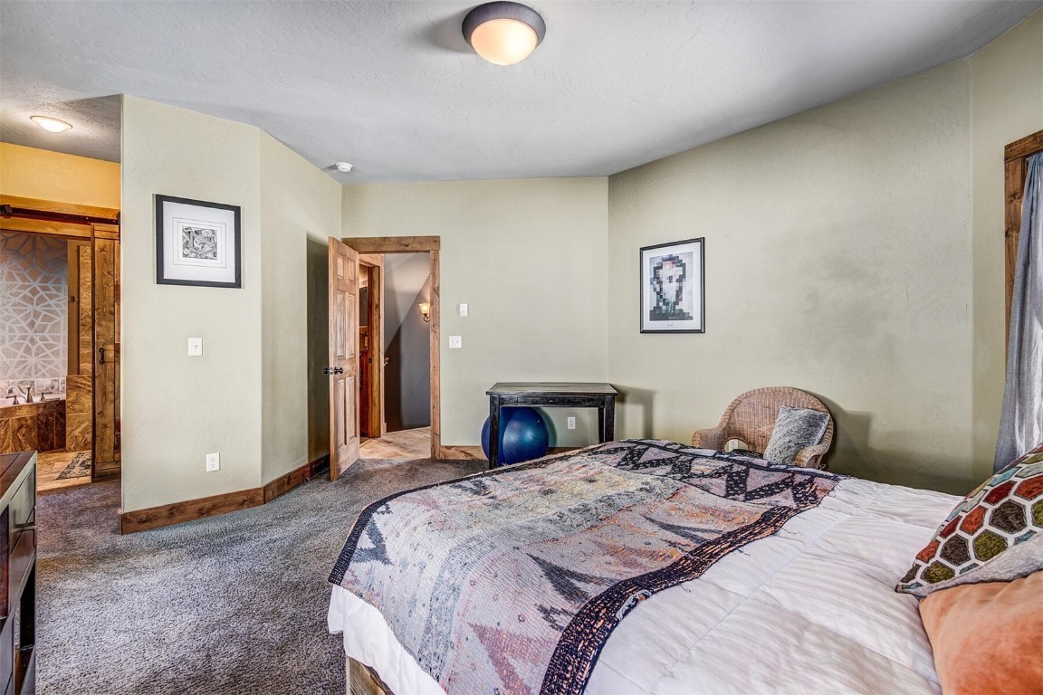 430 Giberson Road Frisco, CO 80443 - Photo 24 of 38 Gallery Image 24