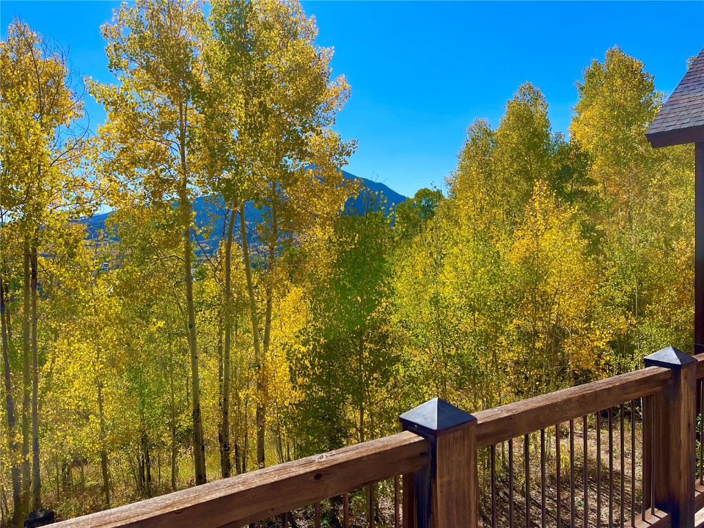 430 Giberson Road Frisco, CO 80443 - Photo 35 of 38 Gallery Image 35