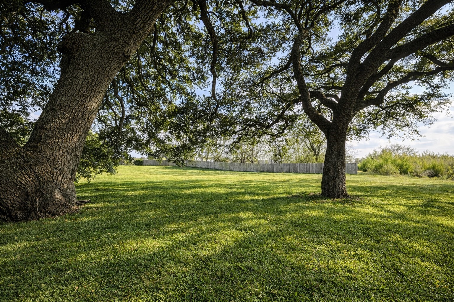 1037 Pecan Valley Road Wharton, TX 77488 - Photo 15 of 17 a view of outdoor space with trees all around