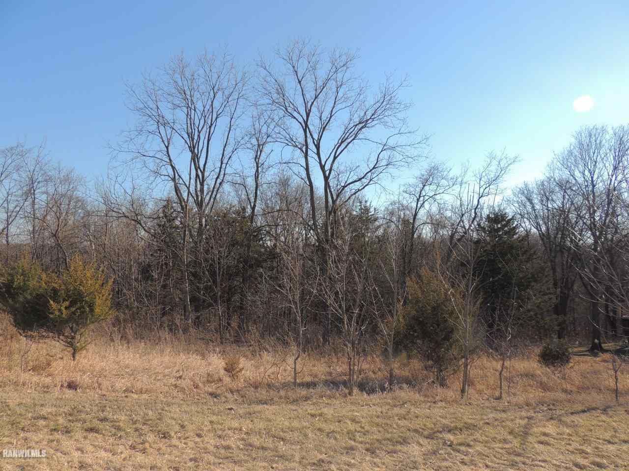 9 Cedar Rim Trail Galena, IL 61036 - Photo 1 of 6