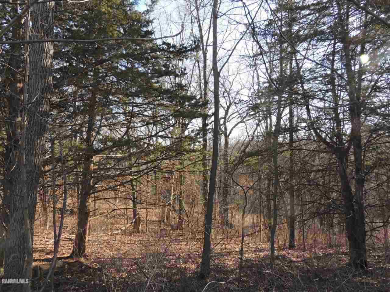 9 Cedar Rim Trail Galena, IL 61036 - Photo 4 of 6