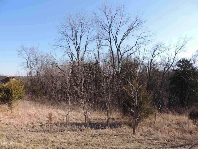 $19,000 | 9 Cedar Rim Trail, Galena, IL 61036