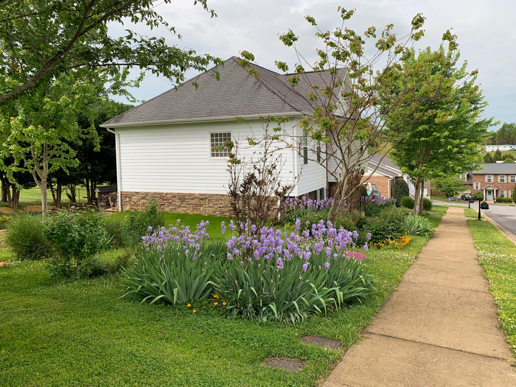 167 Azalea Ridge Johnson City, TN 37601 - Photo 14 of 48 167 Azalea Ridge MLS014 (1)